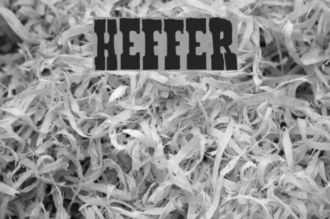 Heffer Font examples