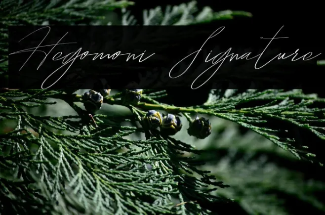 Hegomoni Signature Example 1