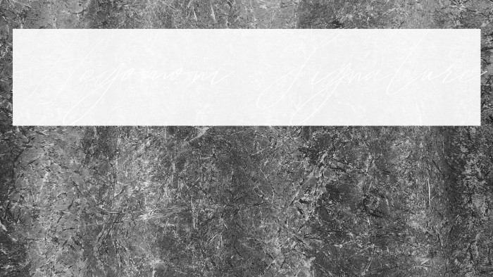 Hegomoni Signature Example 2