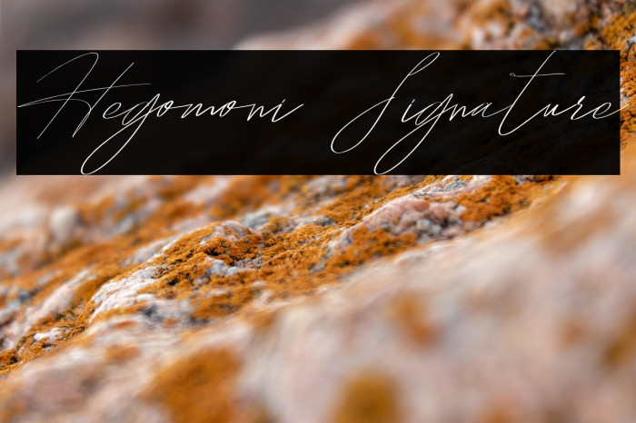 Hegomoni Signature Example 3