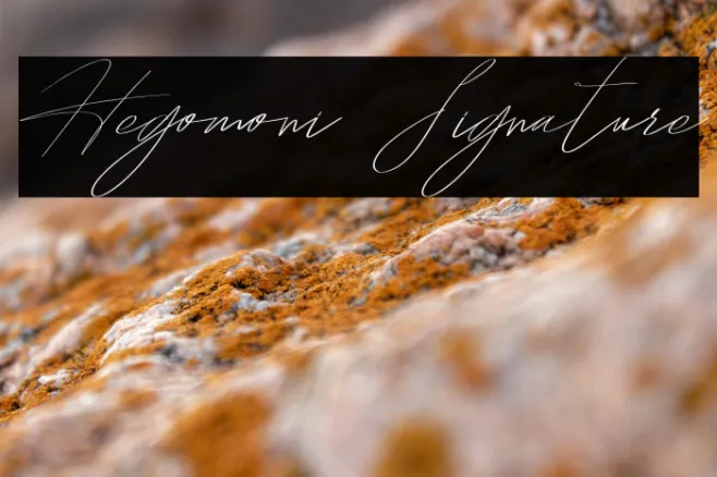 Hegomoni Signature Example 3