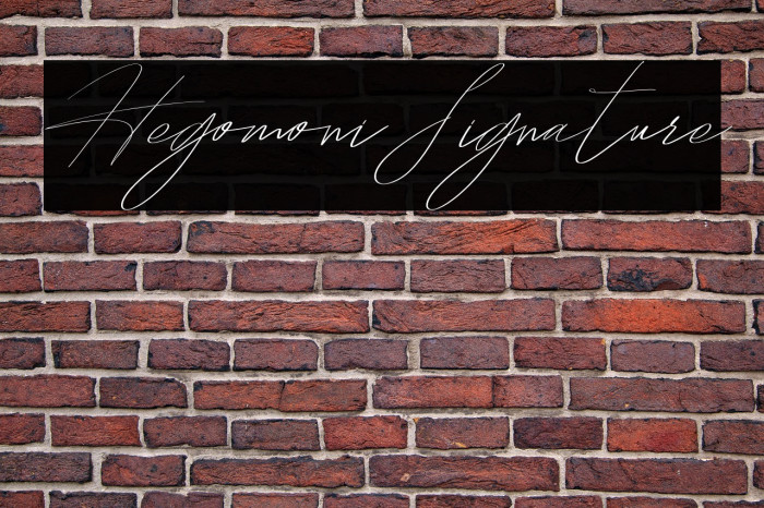 HegomoniSignature Example 1