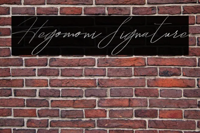 HegomoniSignature Example 1