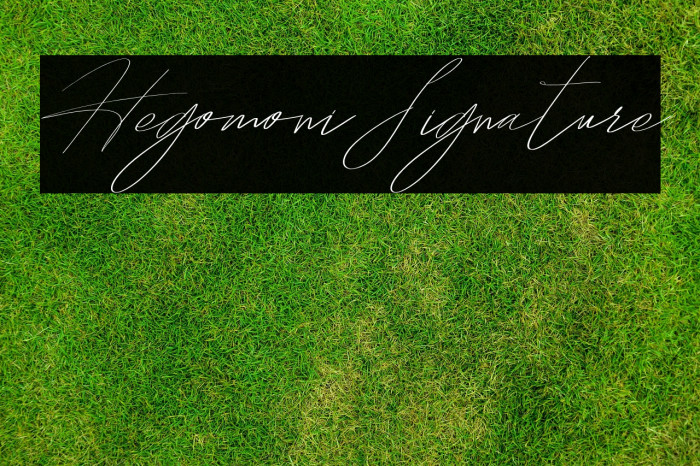 HegomoniSignature Example 2