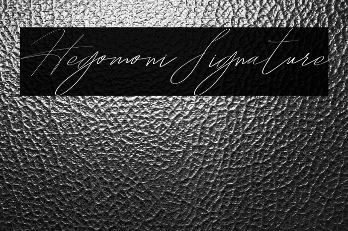 HegomoniSignature Example 3