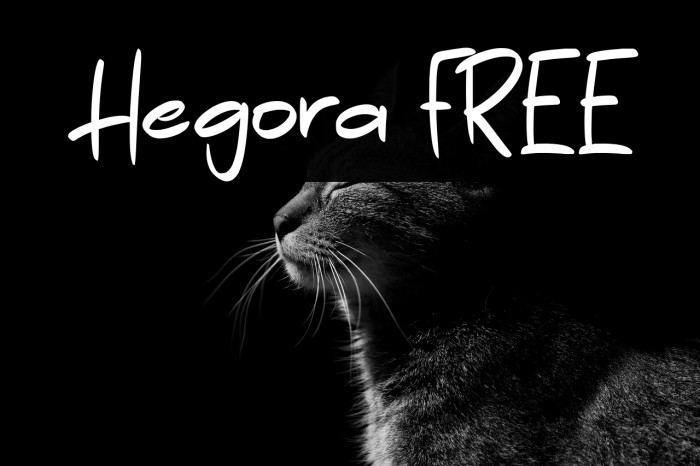 Hegora FREE Example 1