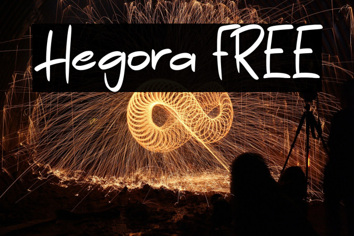 Hegora FREE Example 2