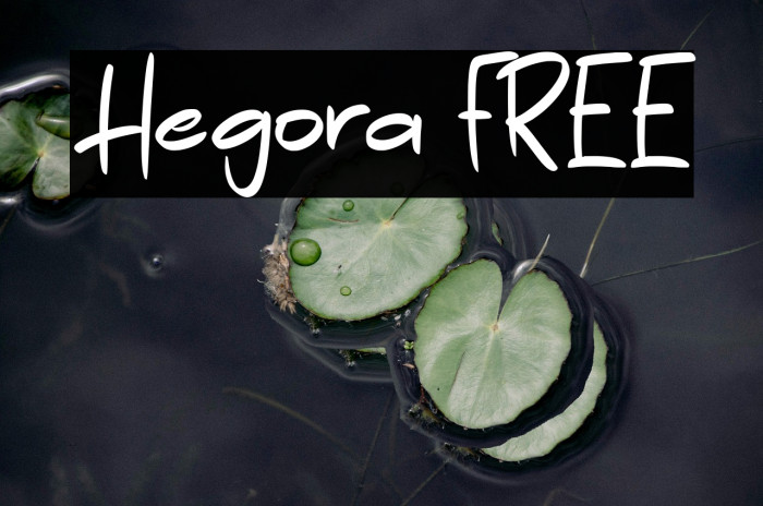Hegora FREE Example 3