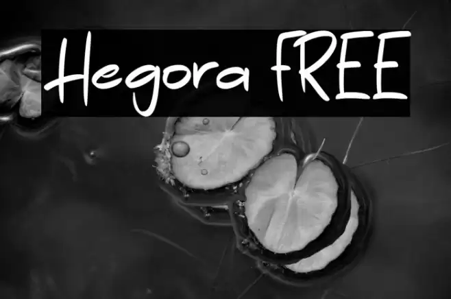 Hegora FREE Caratteri examples