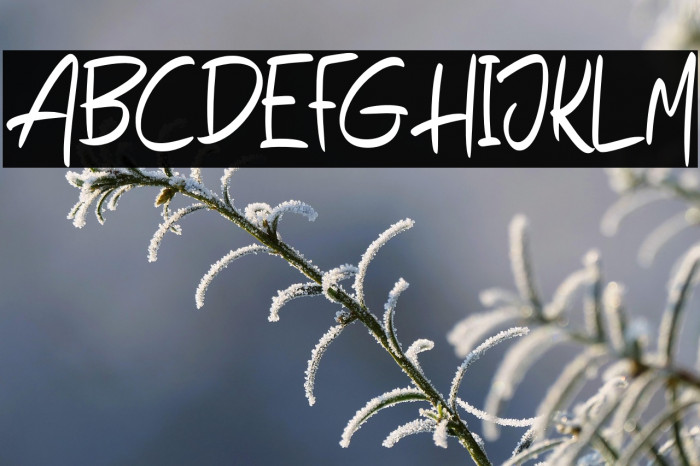 HegoraFREE Example 1