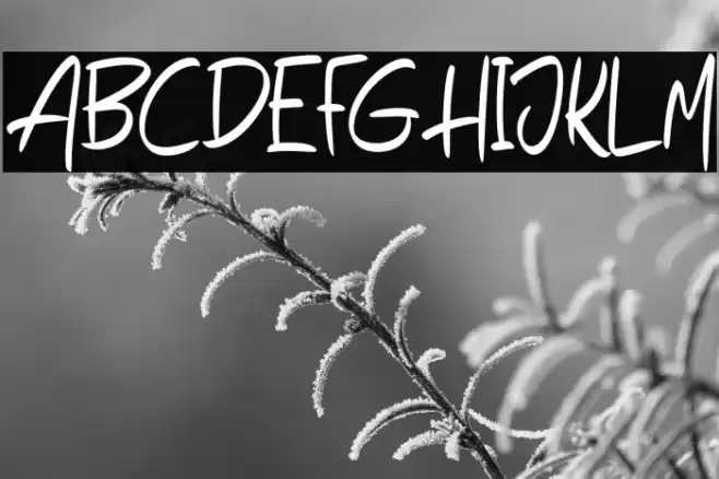 HegoraFREE Шрифта examples