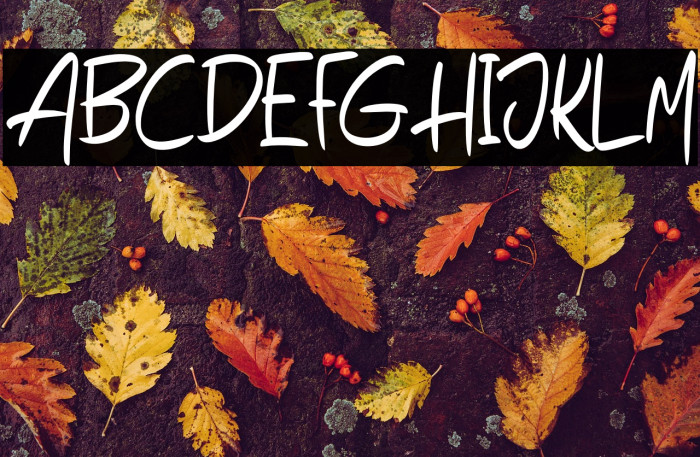 HegoraFREE Example 2