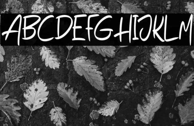 HegoraFREE Шрифта examples