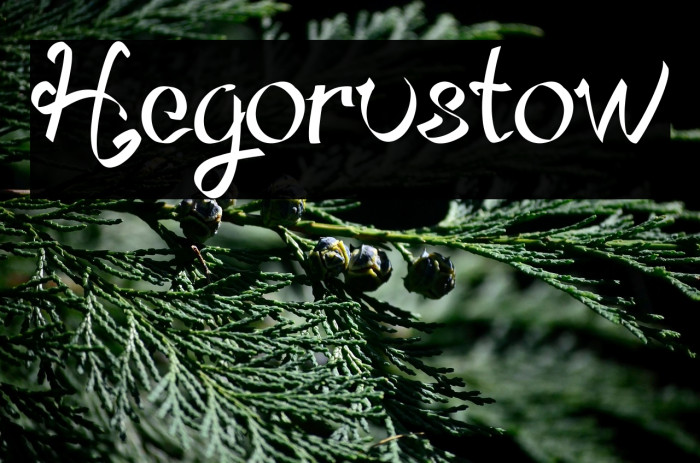 Hegorustow Example 1