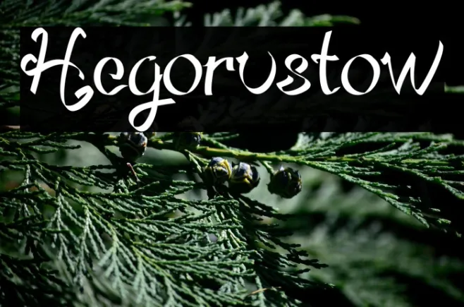 Hegorustow Example 1