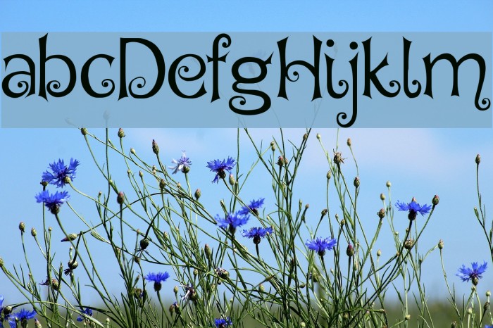 Hegran Demo Font examples