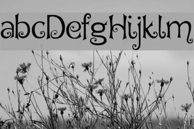 Hegran Demo फ़ॉन्ट examples