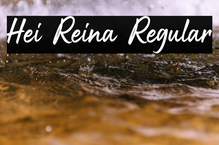 Hei Reina Regular Example 2