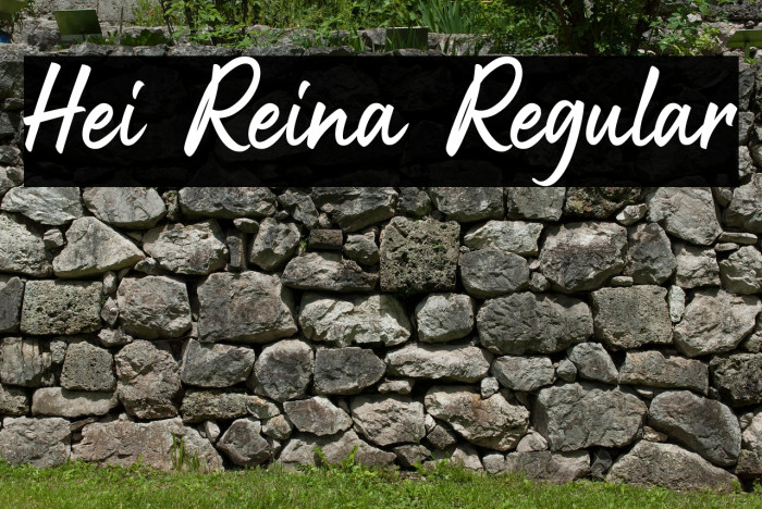 Hei Reina Regular Example 3