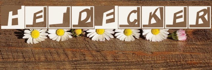 HeidEcker Font examples