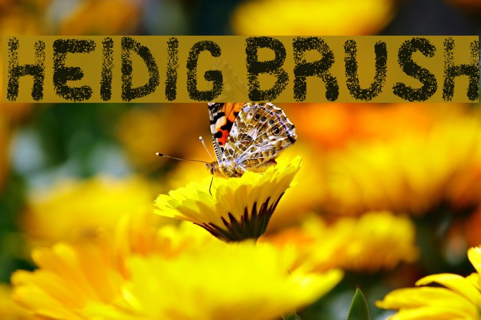 Heidig Brush Example 1