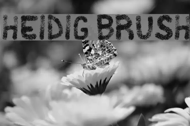 Heidig Brush Font examples