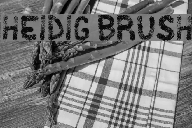 Heidig Brush Font examples