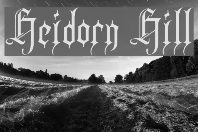 Heidorn Hill Шрифта examples