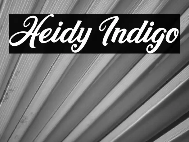 Heidy Indigo Font examples
