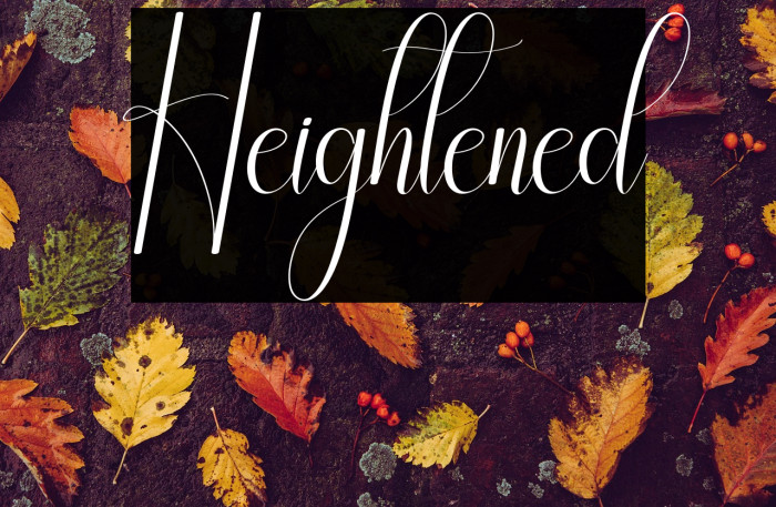 Heightened Example 2