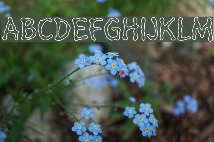 HeilVertica Font examples