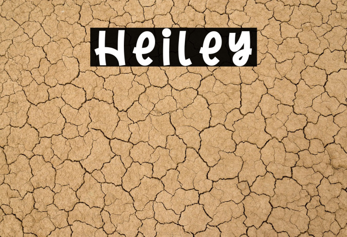 Heiley Example 2