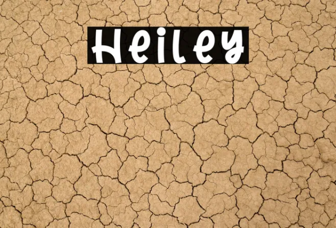 Heiley Example 2