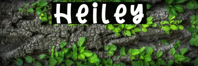 Heiley Example 3