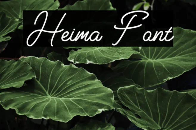 Heima Example 1