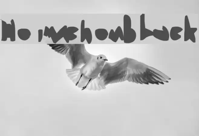 Heimchen Black Font examples