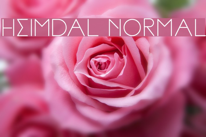 Heimdal Normal Font examples
