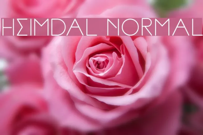 Heimdal Normal Example 3