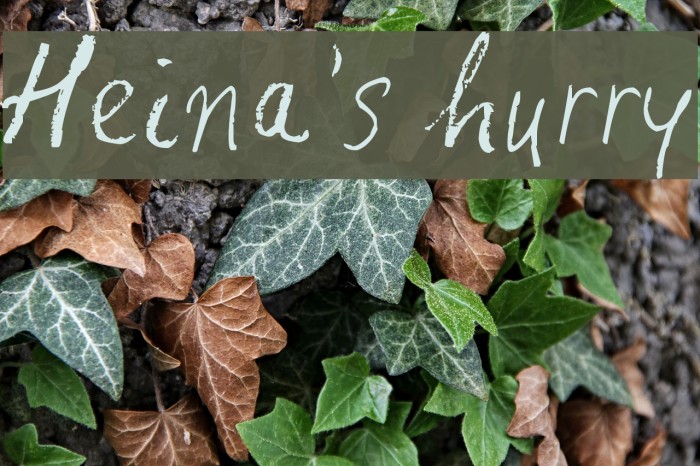 Heina's hurry Example 3