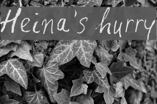Heina's hurry Font examples