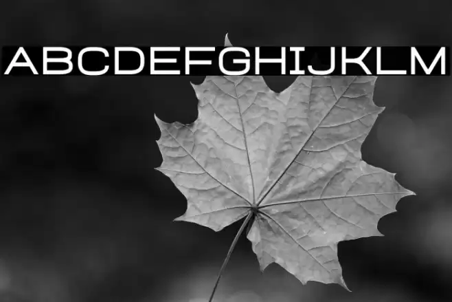 Heinch Medium Font examples