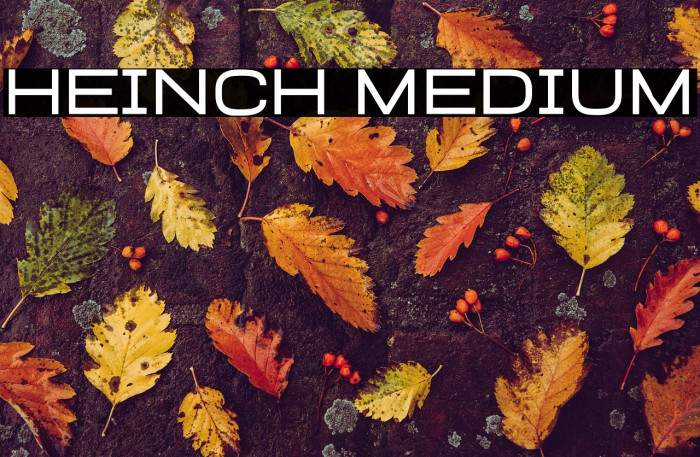 Heinch Medium Example 1