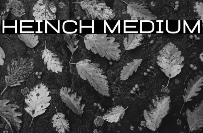 Heinch Medium Font examples