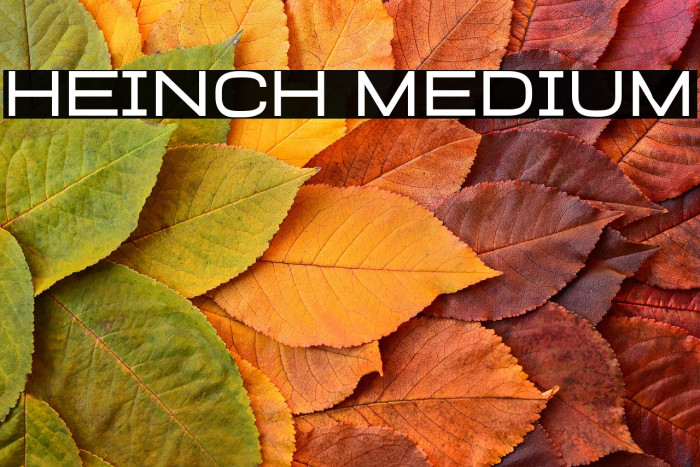 Heinch Medium Example 3