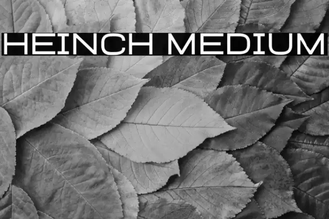 Heinch Medium Font examples