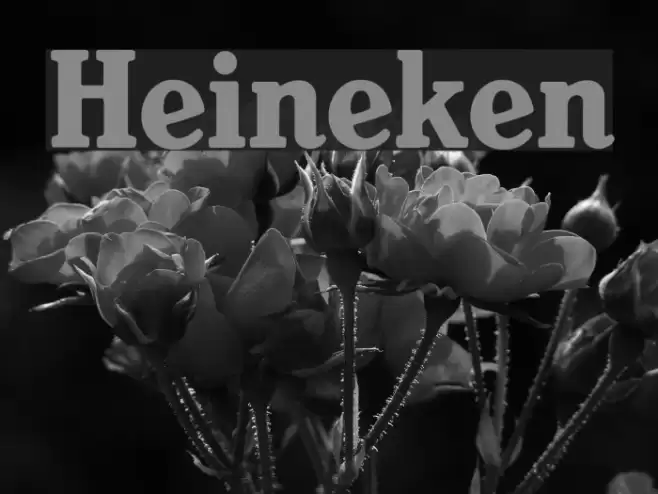 Heineken Font examples