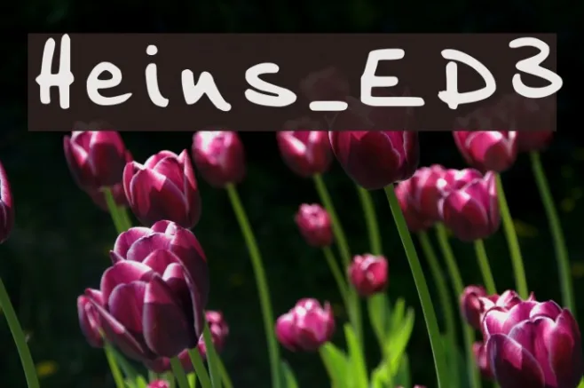 Heins_ED3 Example 3