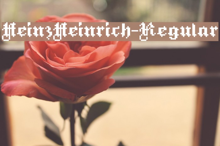 HeinzHeinrich-Regular Font examples