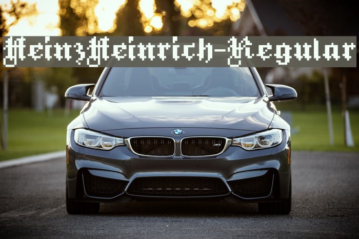 HeinzHeinrich-Regular Font examples