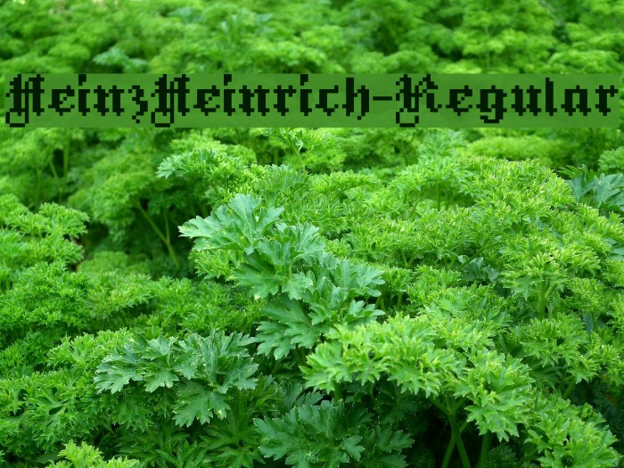 HeinzHeinrich-Regular Font examples